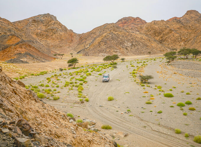 Escursione super safari Marsa Alam