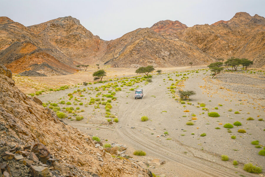 Escursione super safari Marsa Alam