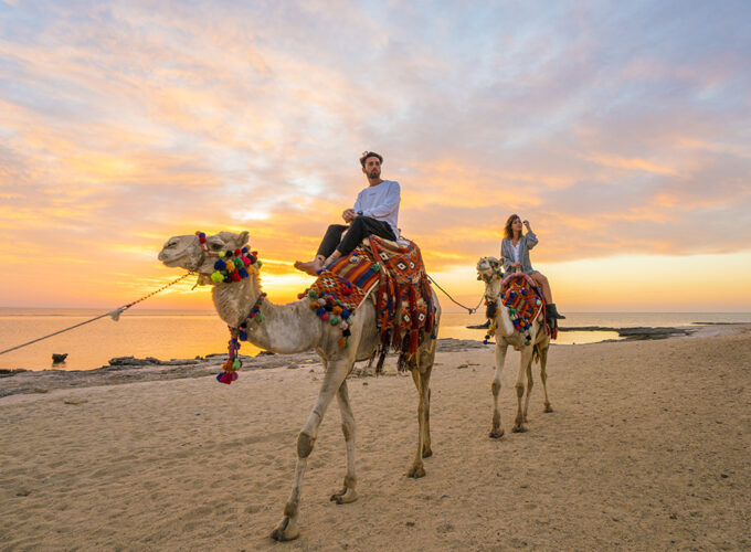 Passeggiata a cammello a Port Ghalib