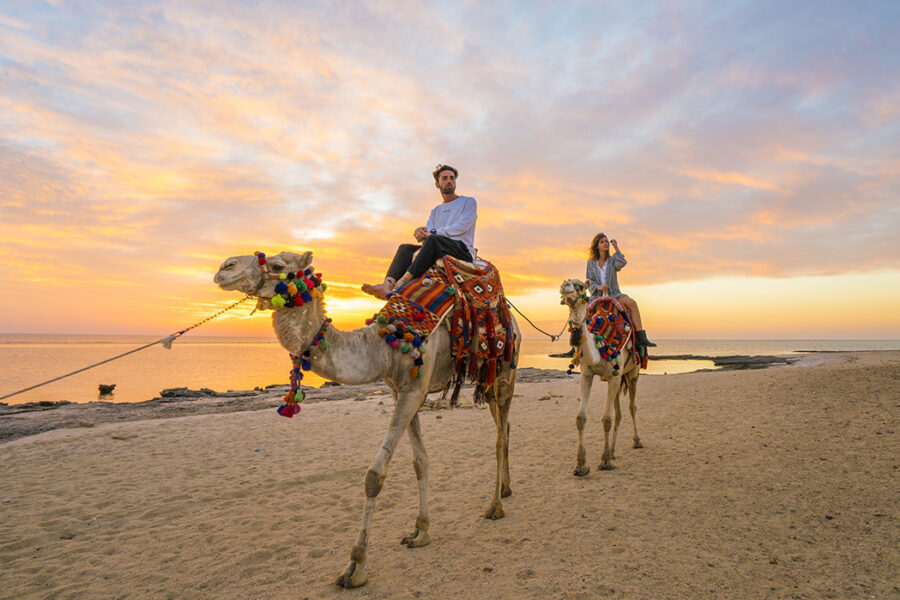 Passeggiata a cammello a Port Ghalib