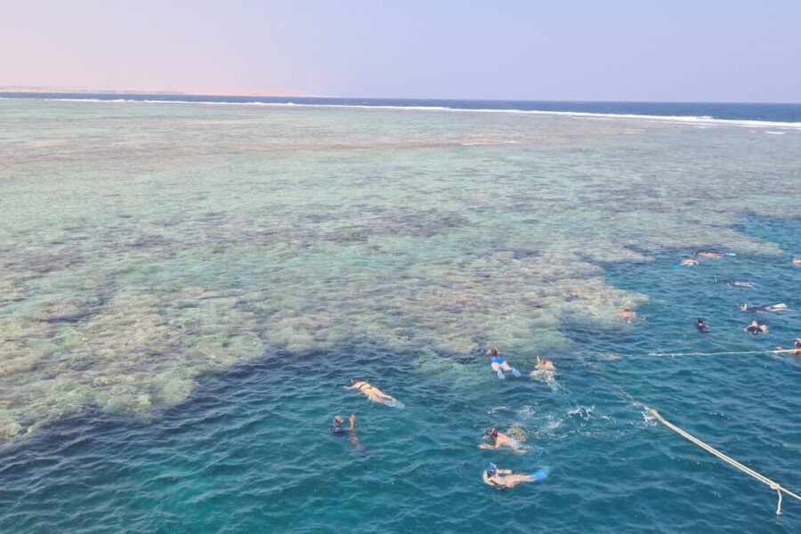 Snorkeling a Marsa Mubarak da El Quseir