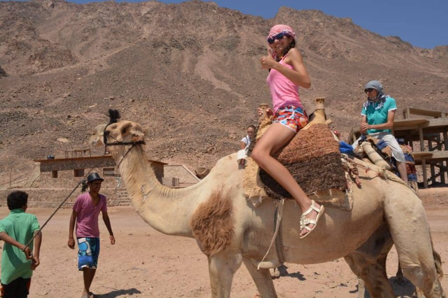 Camel Ride in the Desert Sharm El Sheikh Experience