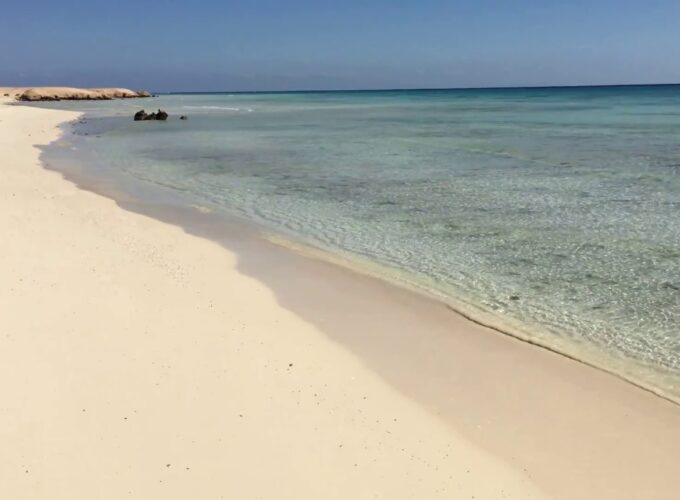 Escursione a Sharm El Luli da Port Ghalib