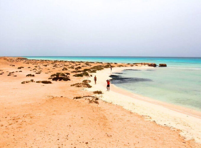 Mezza Giornata a Sharm El Luli da El Quseir – Snorkeling