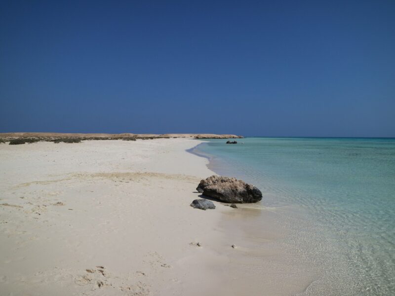 Escursione Sharm El Luli Mrasa Alam