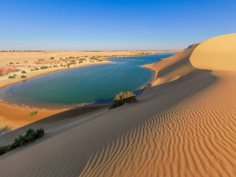 Escursioni Sharm El Sheikh Cairo e Fayoum 2 giorni