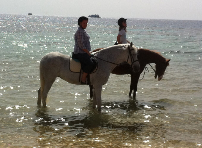 Passeggiata a cavallo a Sahl Hasheesh