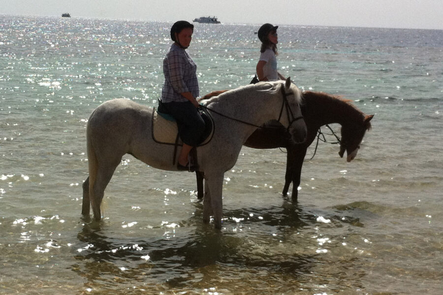 Passeggiata a cavallo a Sahl Hasheesh