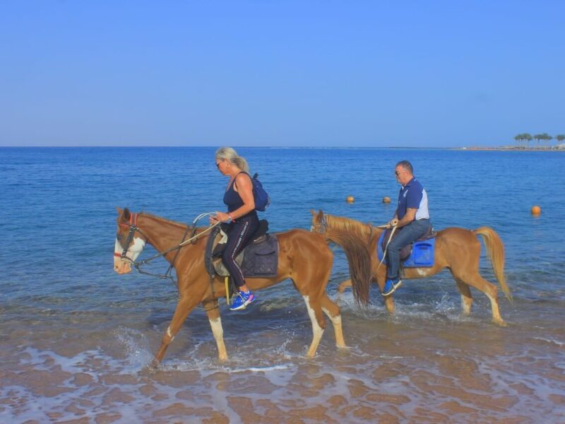 Quanto costa un'escursione a cavallo