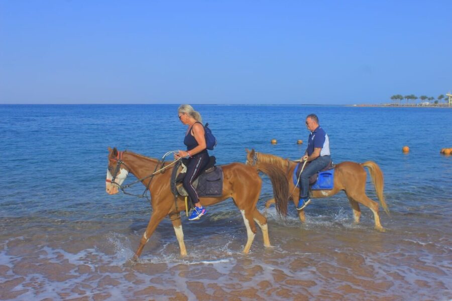 Quanto costa un'escursione a cavallo