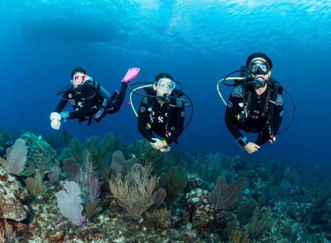 Immersioni subacquee dalla spiaggia Sharm el sheikh