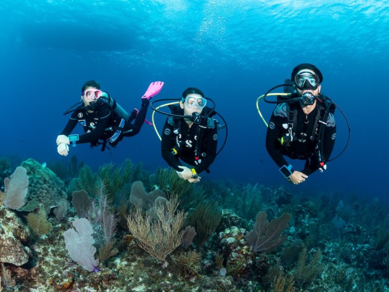 Immersioni subacquee dalla spiaggia Sharm el sheikh