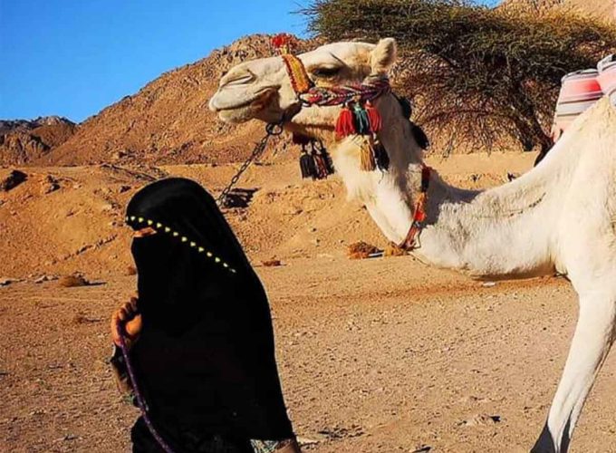 Camel Ride Marsa Alam: Desert Safari with Bedouin Tea