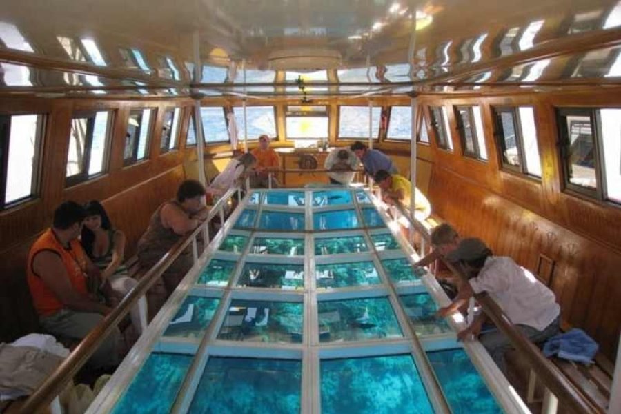 Glass Bottom Boat Sharm el Sheikh