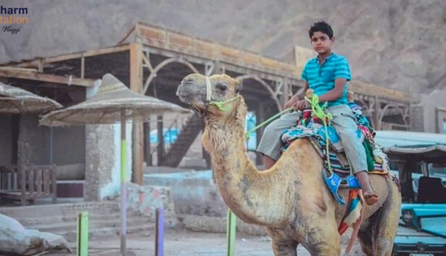 I Beduini a Sharm el Sheikh