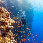 Barriera Corallina Marsa Alam