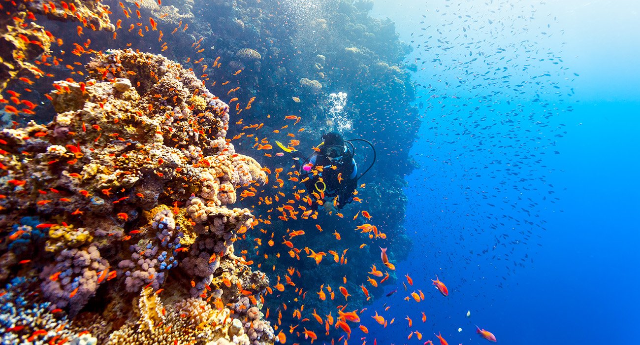 Barriera Corallina Marsa Alam
