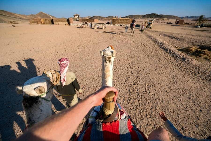 Camel Ride Excursion in Marsa Alam