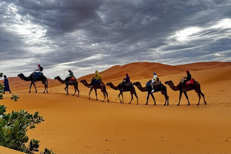 Marsa Matrouh escursioni cammello