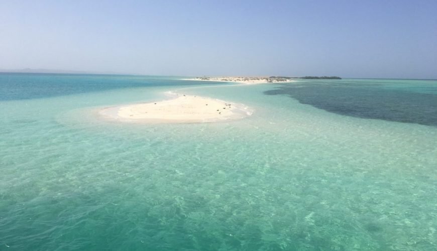 Parco Nazionale Wadi El Gemal|Le 6 Avventure Top di cosa vedere vicino marsa alam!|Abu Dabbab: la Baia delle Tartarughe a Marsa Alam|||5. Isola di Hamata: il Paradiso Nascosto del Mar Rosso