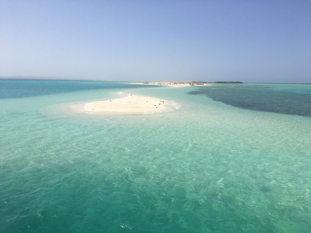 Parco Nazionale Wadi El Gemal|Le 6 Avventure Top di cosa vedere vicino marsa alam!|Abu Dabbab: la Baia delle Tartarughe a Marsa Alam|||5. Isola di Hamata: il Paradiso Nascosto del Mar Rosso