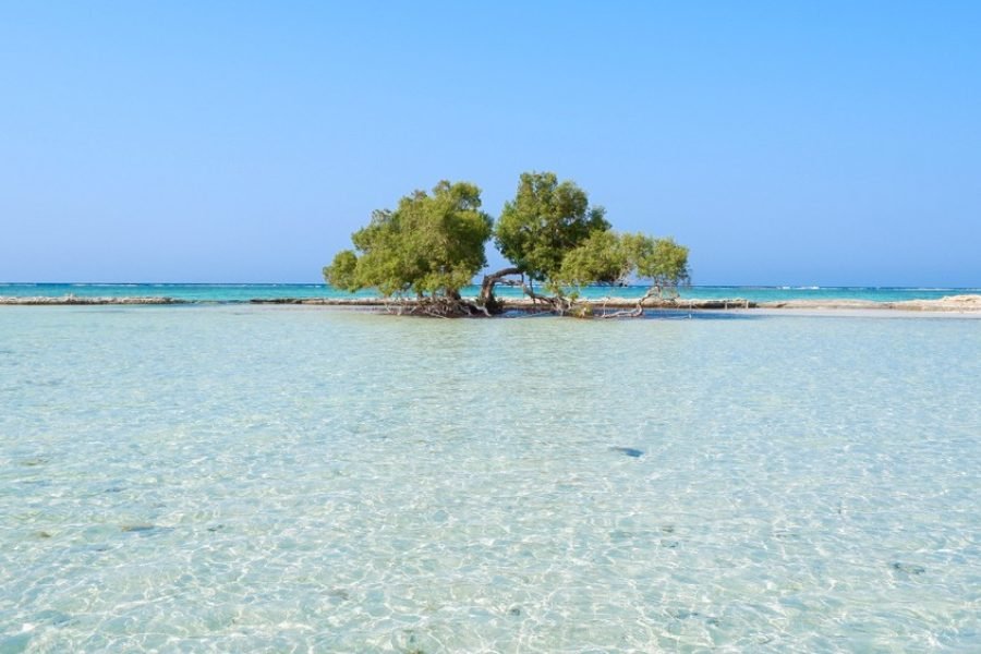 Escursione Sharm El Luli Mrasa Alam