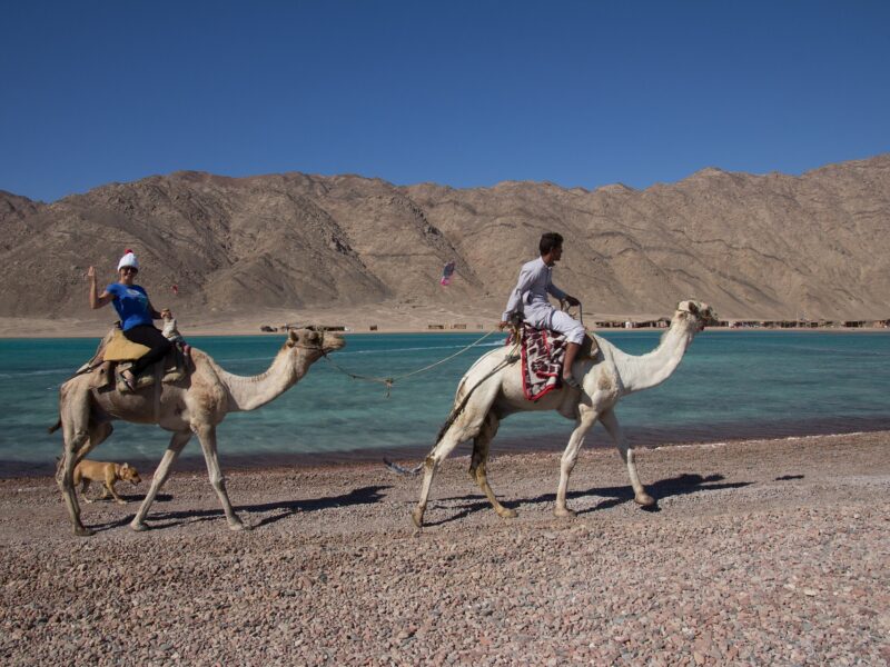 Escursione blue hole Sharm- Buco Blu Sharm El Sheikh