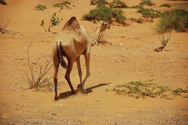 La situazione egitto oggi - Sharm el sheik ora