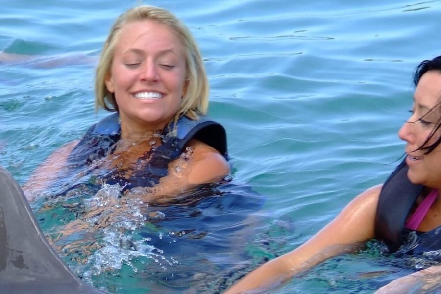 Nuotare con i delfini a sharm el sheikh -  dolphina park