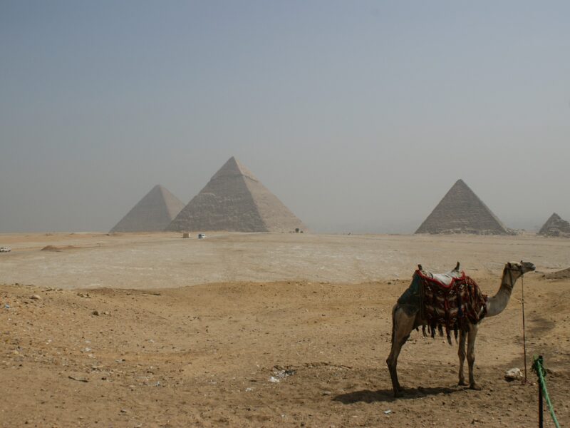 Escursione da Sharm al Cairo in aereo prezzi - Tour privato