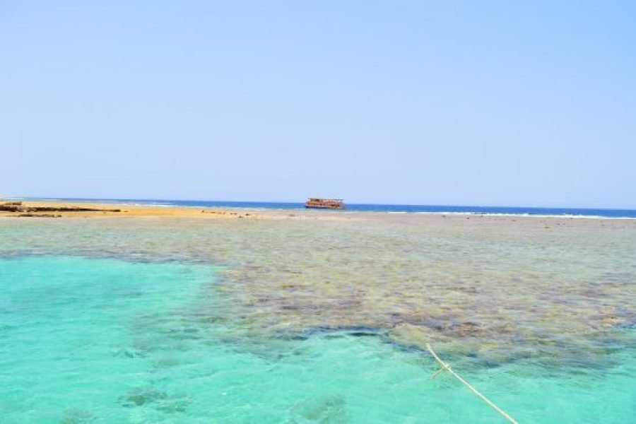 Escursione Marsa Mubarak - Marsa Mubarak beach