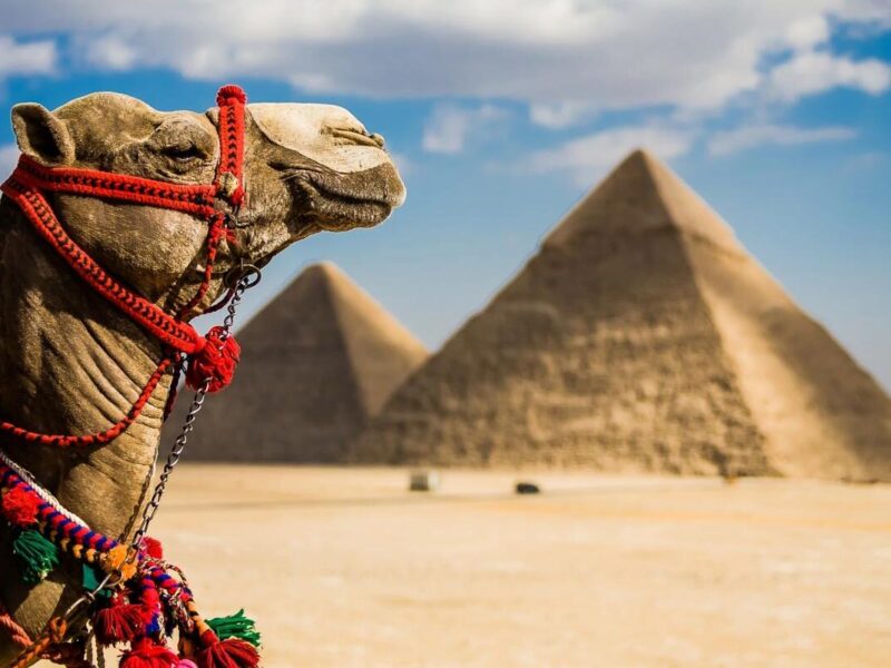Escursione alle Piramidi di Giza