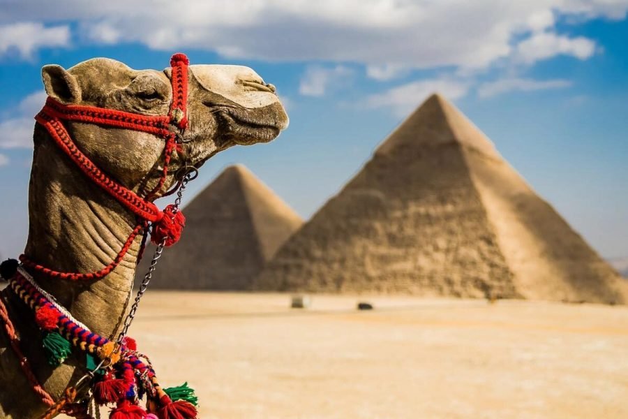 Escursione alle Piramidi di Giza