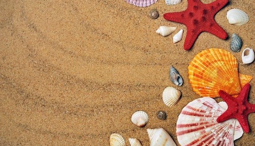 Best beaches of Sharm El Sheikh