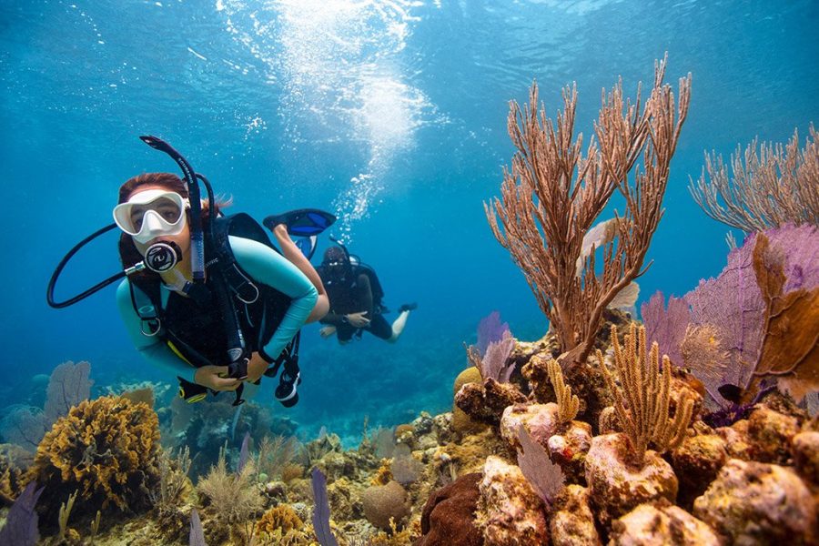 Intro Diving Sharm El Sheikh for Beginners in the Red Sea