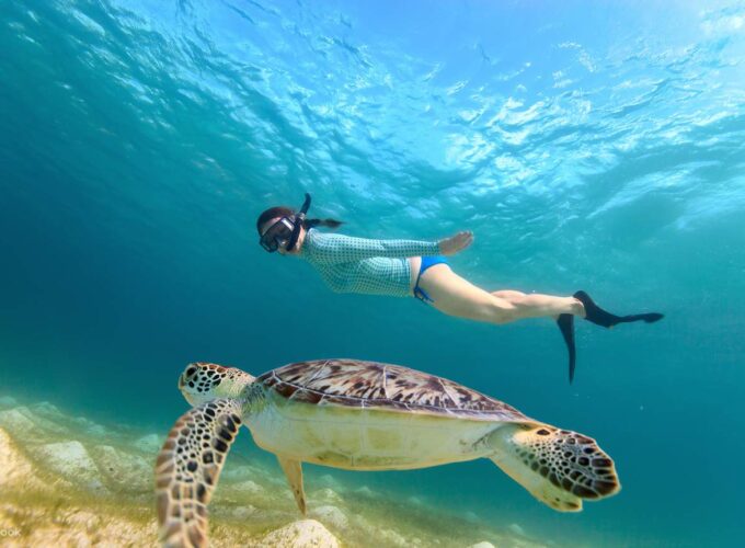 Escursione Abu Dabbab snorkeling da Makadi Bay
