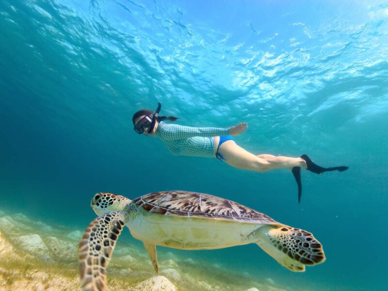 Escursione Abu Dabbab snorkeling da Makadi Bay