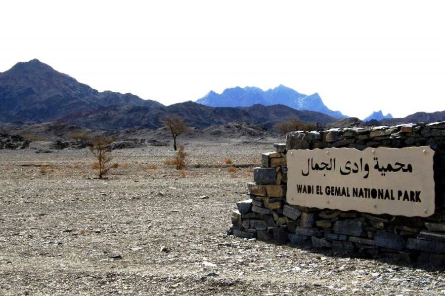 Escursione privata a Wadi El Gemal da El Quseir in jeep