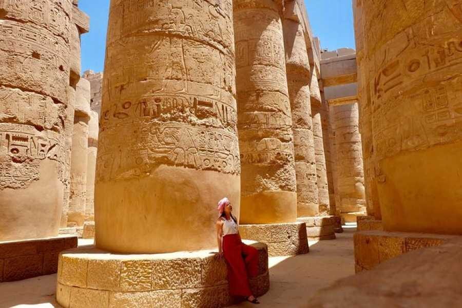 Crociera sul Nilo MS Radamis I: Tour Guidato di Luxor e Assuan