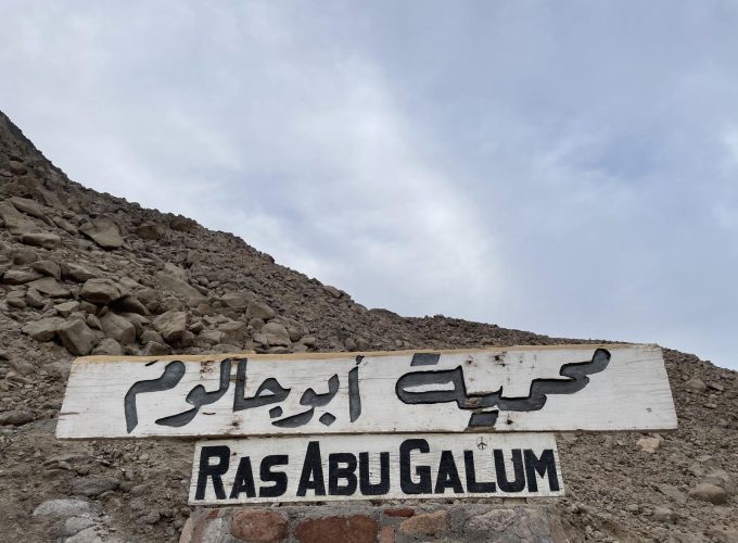 Overnight a Ras Abu Gallum da Dahab con Cammello