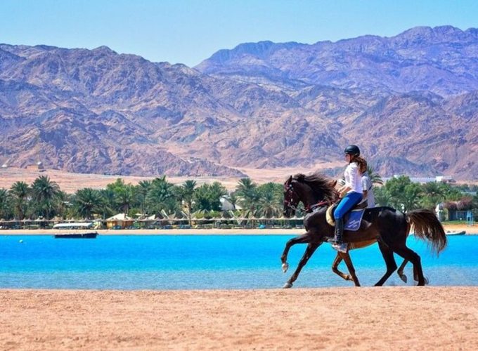 Passeggiata a Cavallo a Dahab sulla Spiaggia