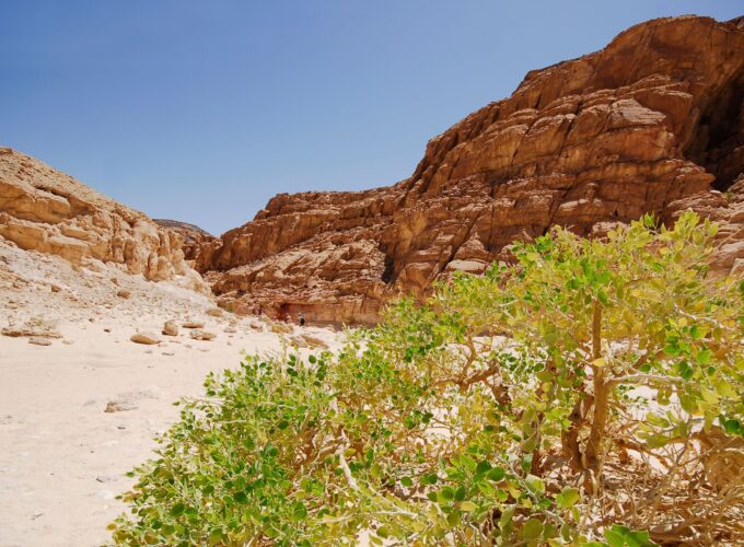 Safari 2 giorni 1 notte Sinai: Avventura in Jeep nel Deserto