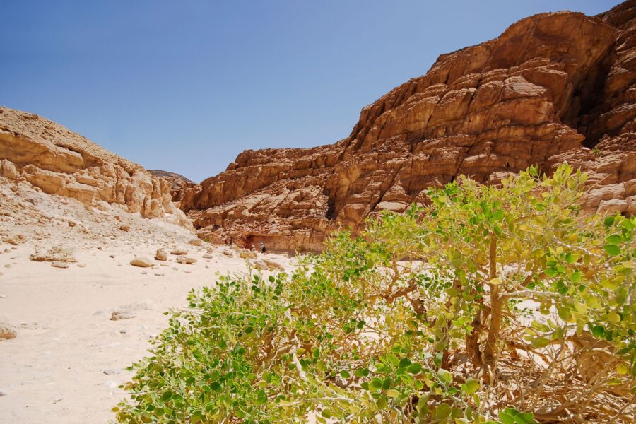 Safari 2 giorni 1 notte Sinai: Avventura in Jeep nel Deserto