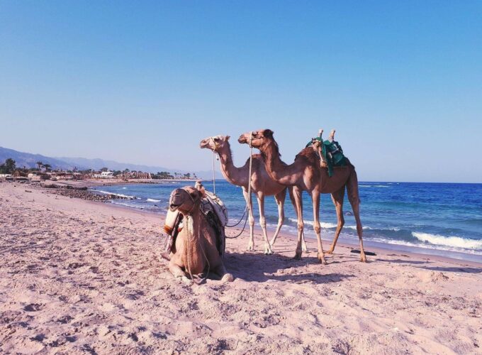 Tour Three Pools e Quad a Dahab con Snorkeling