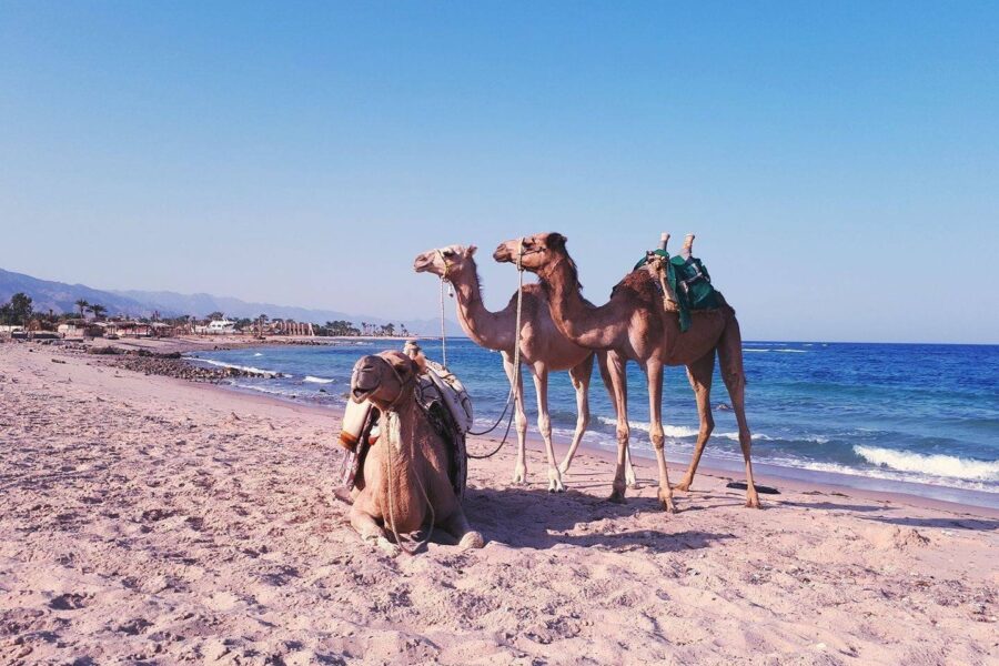 Tour Three Pools e Quad a Dahab con Snorkeling